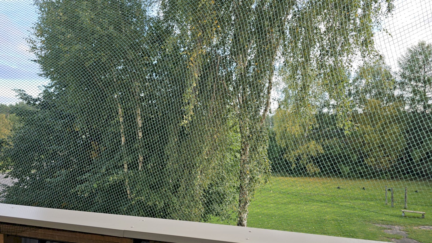 Jõhvi vald, Jõhvi linn, Narva mnt 84
