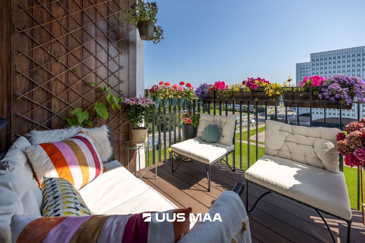 Tallinn, Kesklinna linnaosa, Uus Maailm, Toom-Kuninga 15