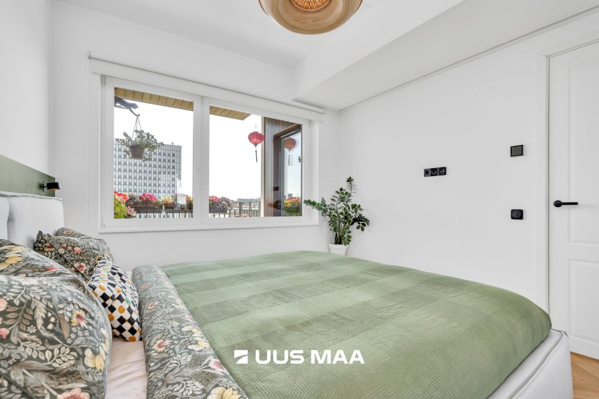 Tallinn, Kesklinna linnaosa, Uus Maailm, Toom-Kuninga 15