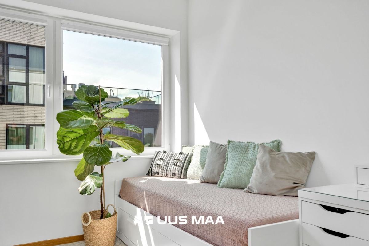 Tallinn, Kesklinna linnaosa, Uus Maailm, Toom-Kuninga 15