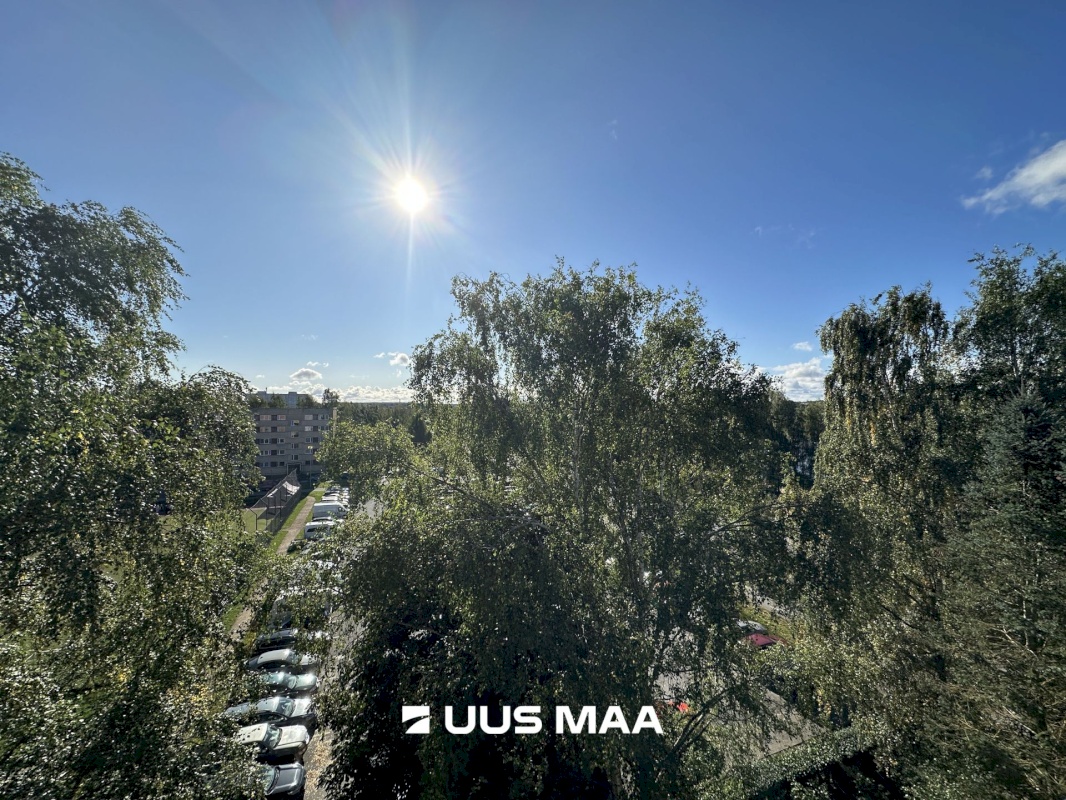 Tartu linn, Tartu linn, Pikk 84