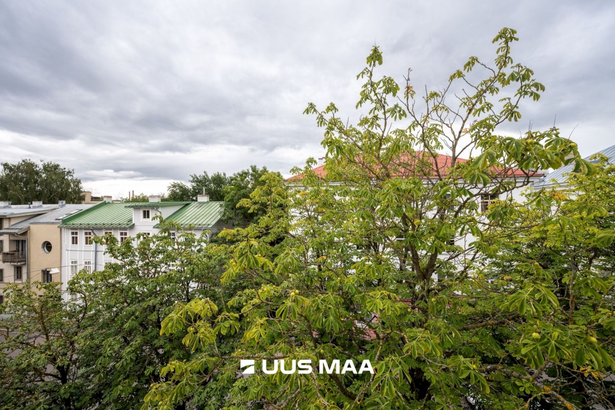 Tallinn, Kesklinna linnaosa, Väike-Ameerika 6