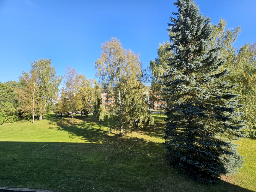 Rakvere linn, Saue 8
