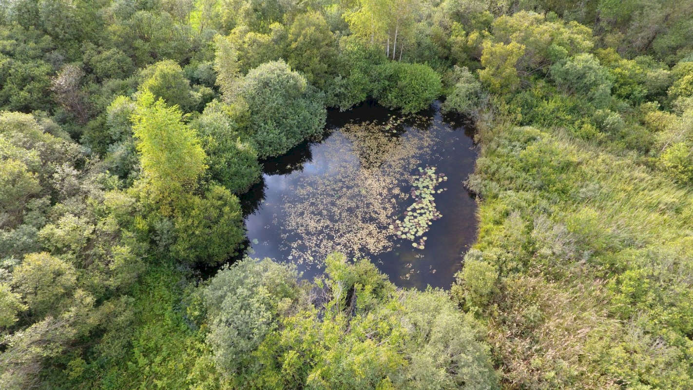 Rõuge vald, Mäe-Palo küla