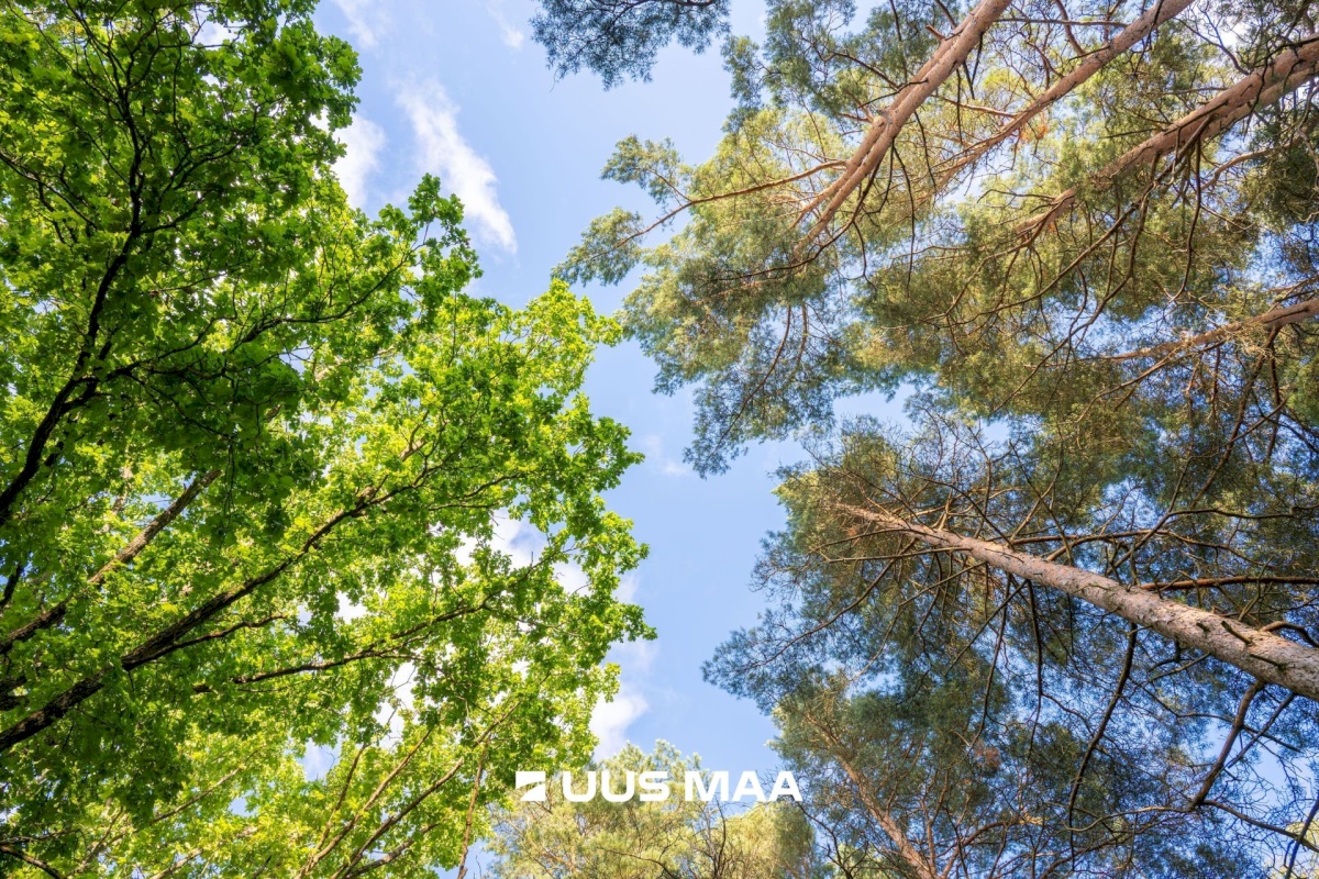 Tallinn, Haabersti linnaosa, Haabersti, Lee 17a