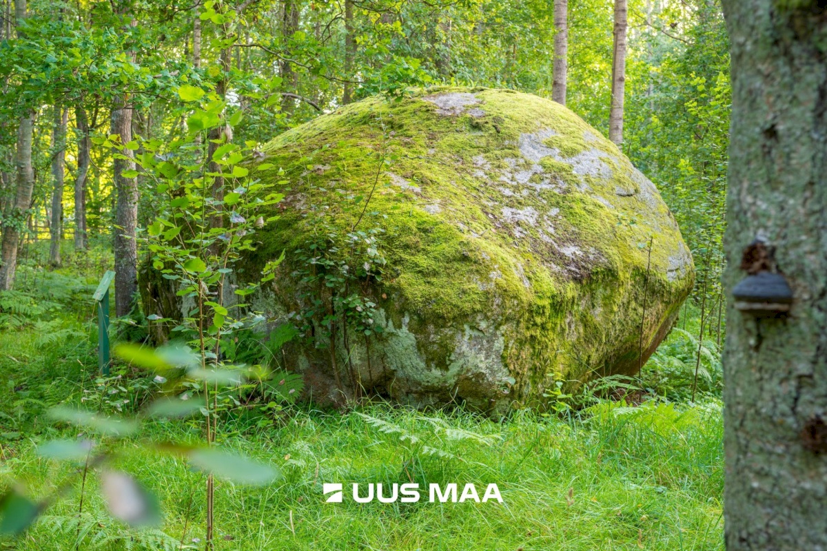 Tallinn, Haabersti linnaosa, Haabersti, Lee 17a