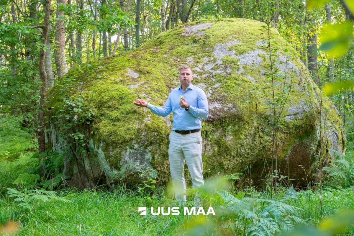 Tallinn, Haabersti linnaosa, Haabersti, Lee 17a