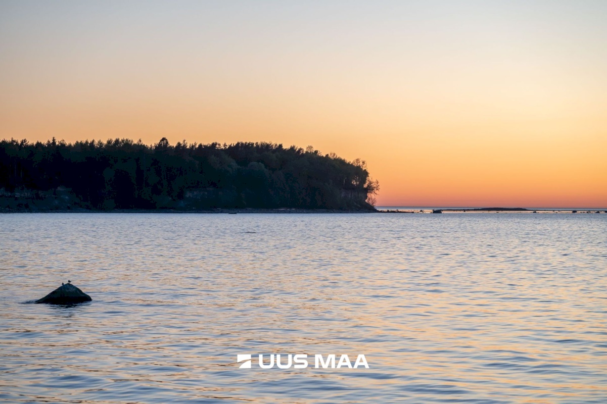 Tallinn, Haabersti linnaosa, Haabersti, Lee 17a