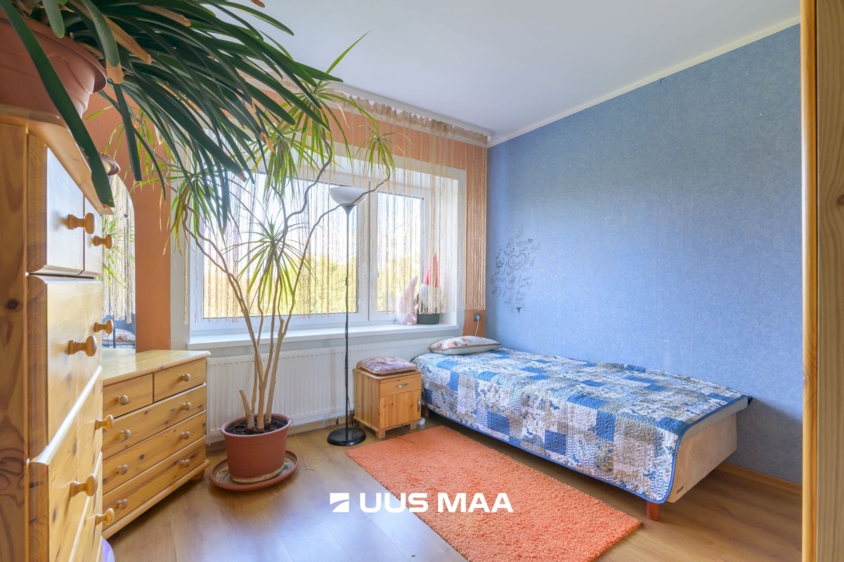 Haljala vald, Haljala alevik, Põllu 2