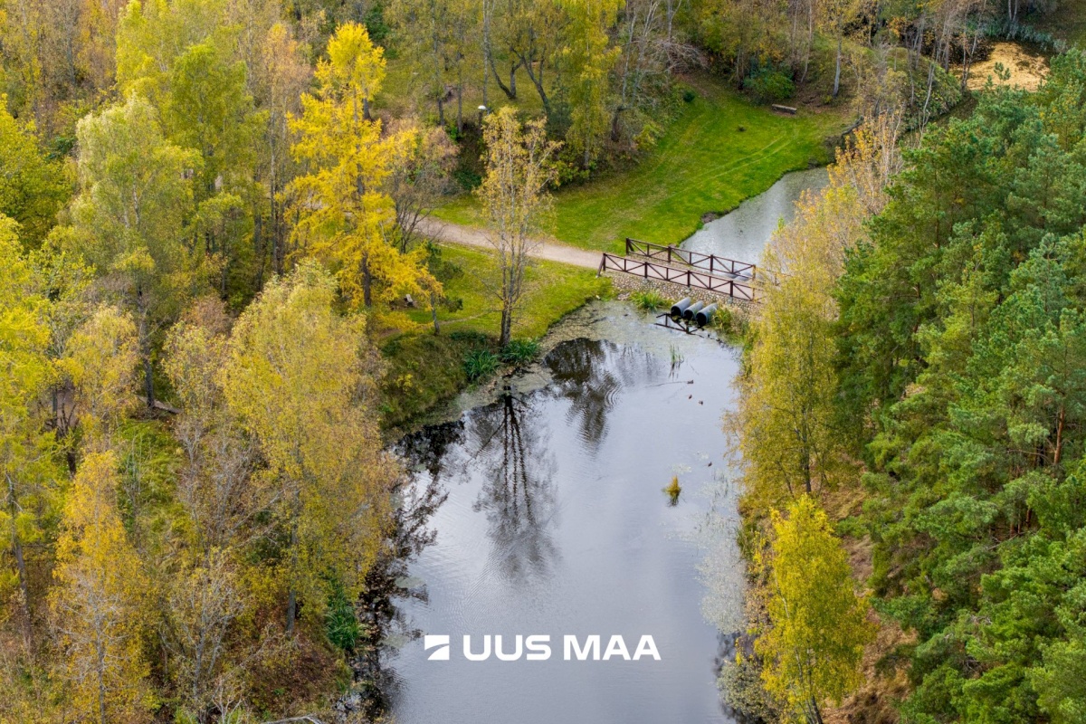 Maardu linn, Ringi tn 3