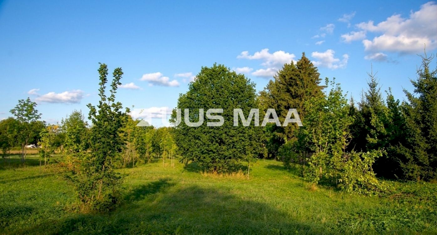 Rae vald, Lehmja küla, Loometsa tee