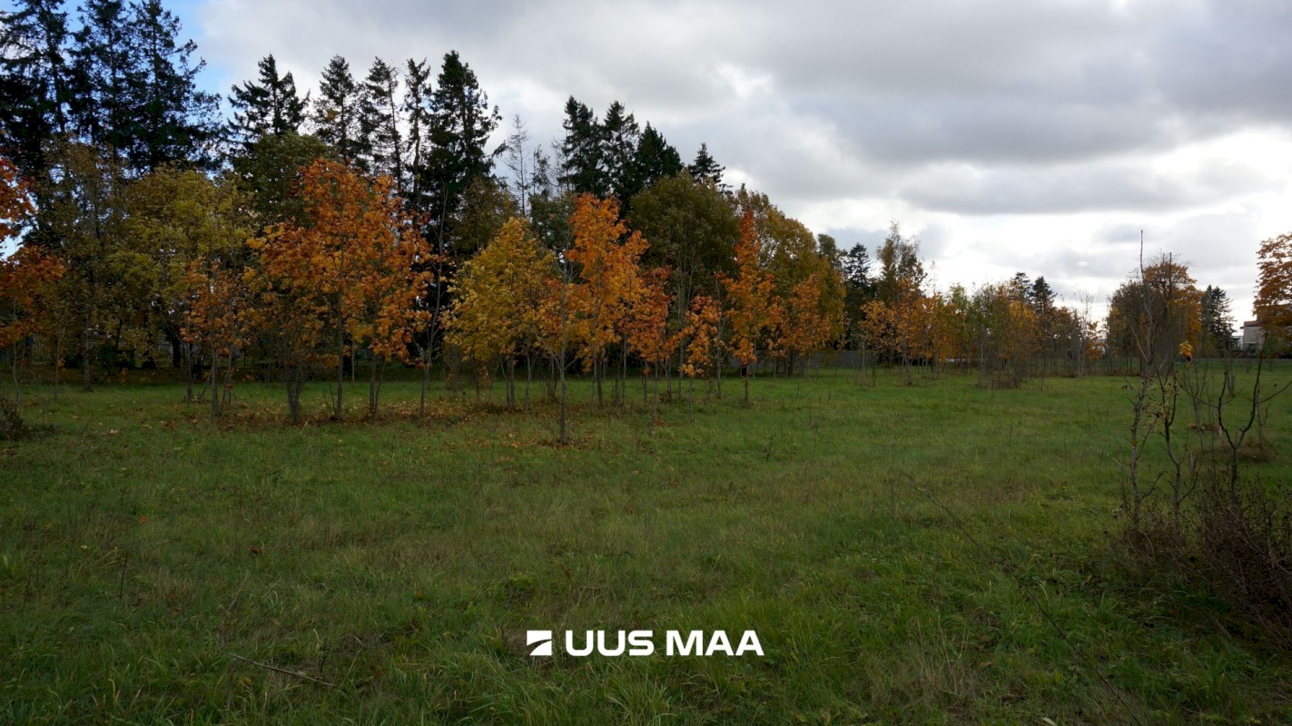 Rae vald, Lehmja küla, Loometsa tee