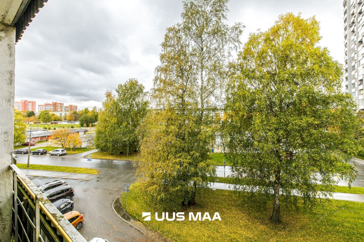 Tallinn, Põhja-Tallinna linnaosa, Pelguranna, Ehte 3