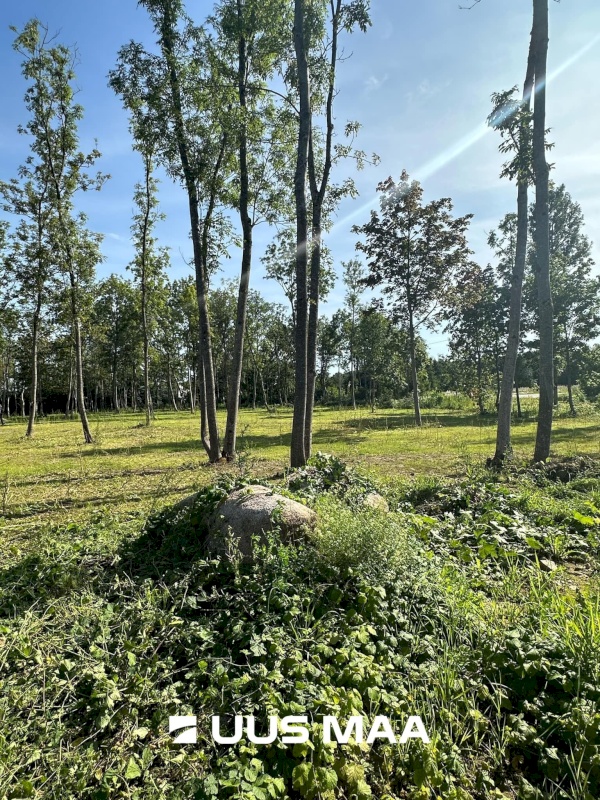 Saue vald, Püha küla, Kurvi tee 53