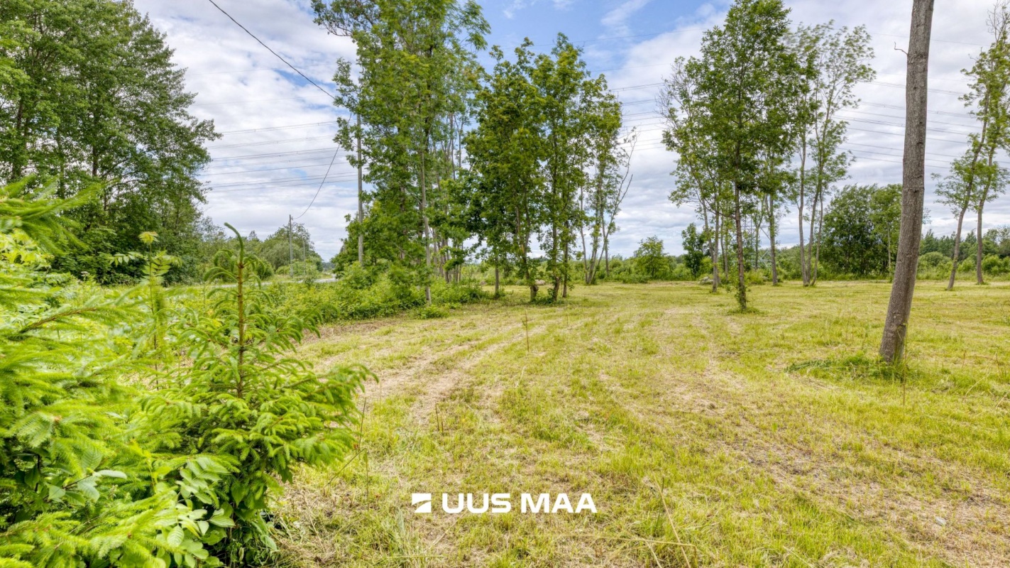 Saue vald, Püha küla, Kurvi tee 53