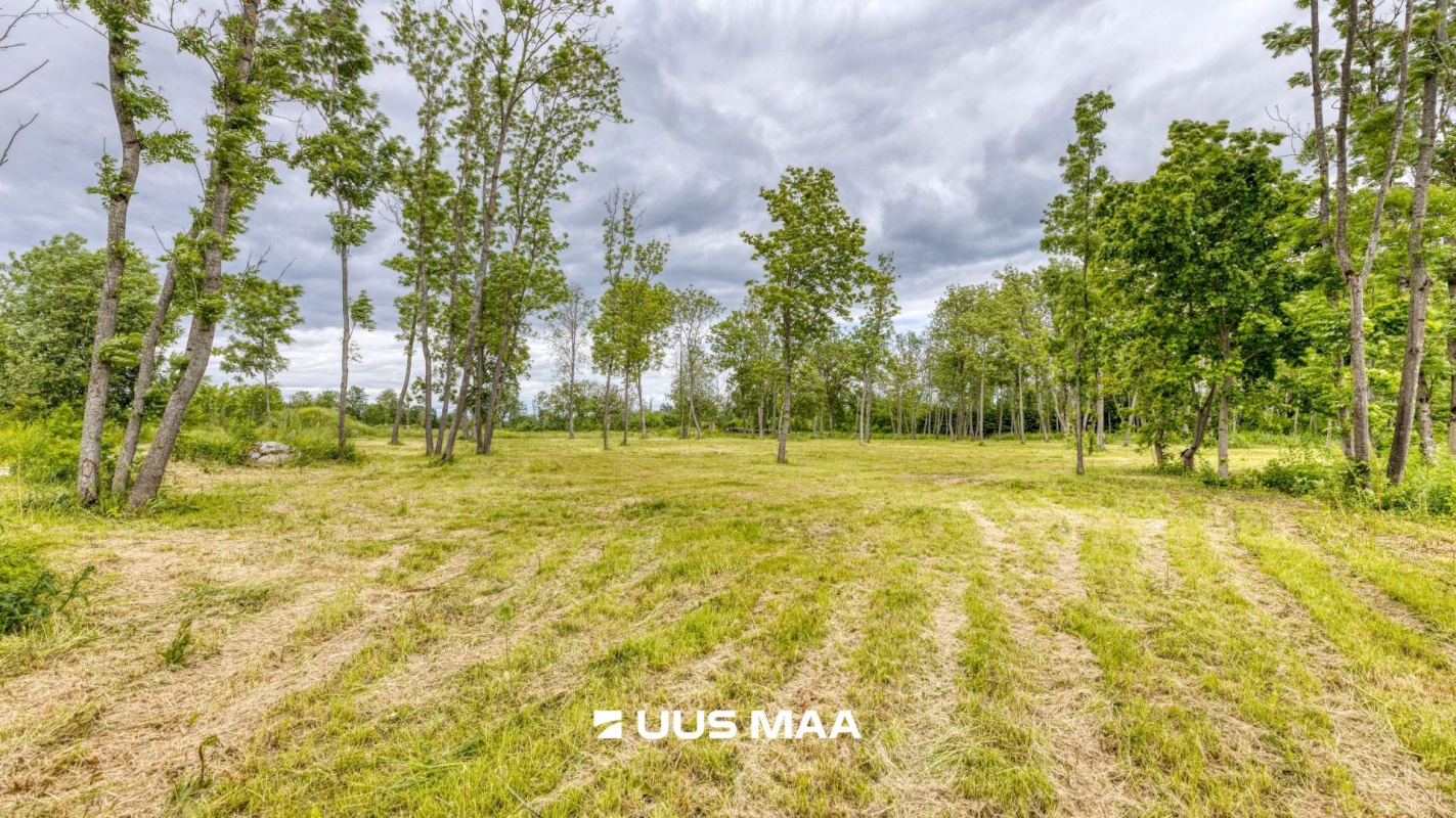 Saue vald, Püha küla, Kurvi tee 53