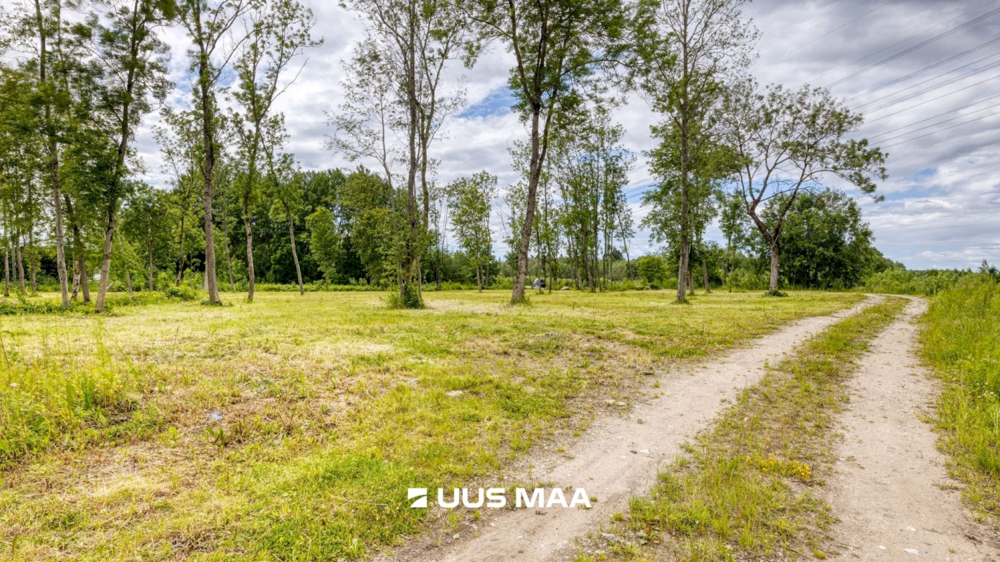 Saue vald, Püha küla, Kurvi tee 53