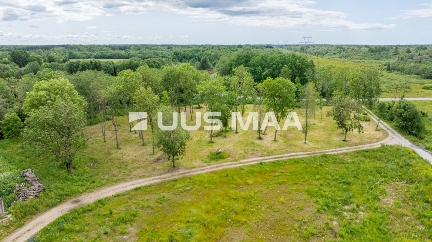 Saue vald, Püha küla, Kurvi tee 53