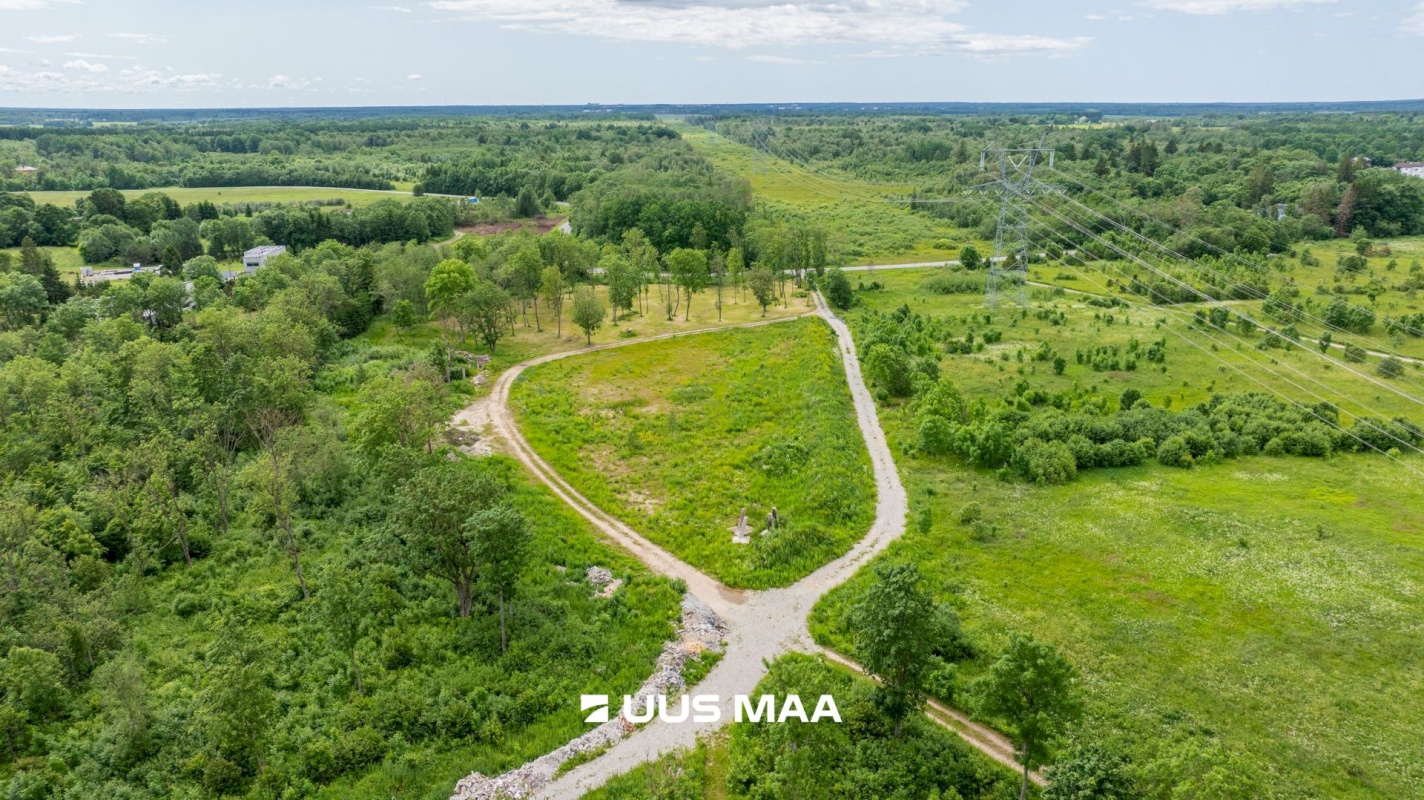 Saue vald, Püha küla, Kurvi tee 53