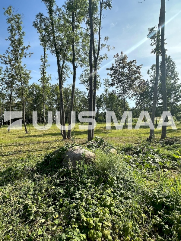 Saue vald, Püha küla, Kurvi tee 53