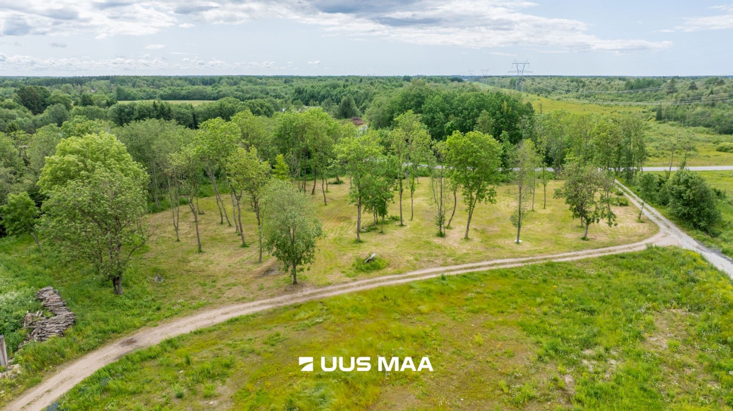 Saue vald, Püha küla, Kurvi tee 53