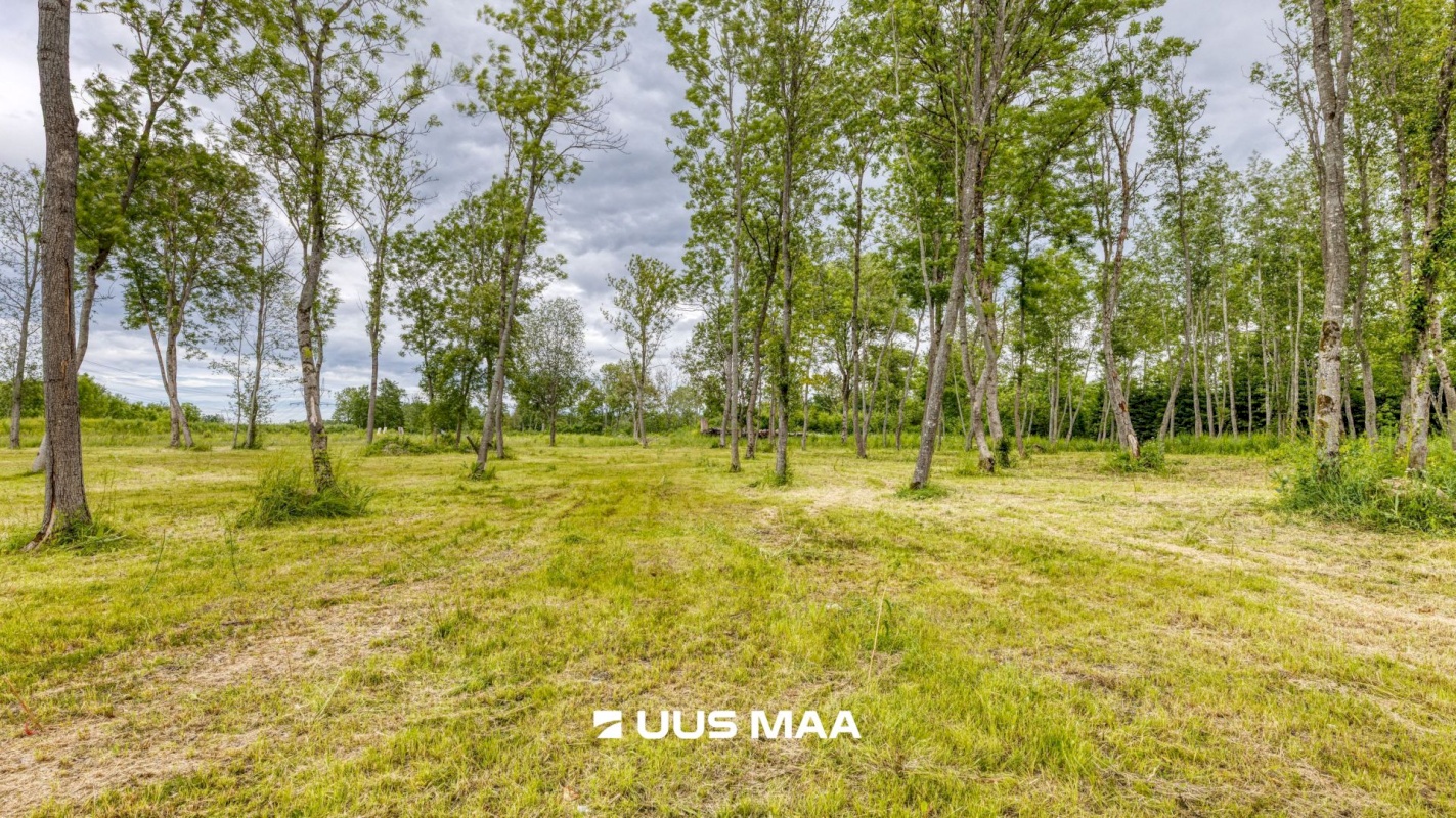 Saue vald, Püha küla, Kurvi tee 53