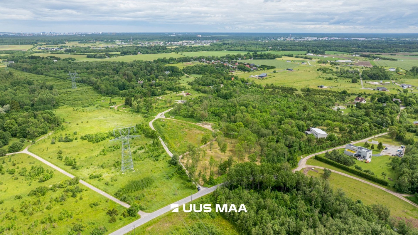 Saue vald, Püha küla, Kurvi tee 53