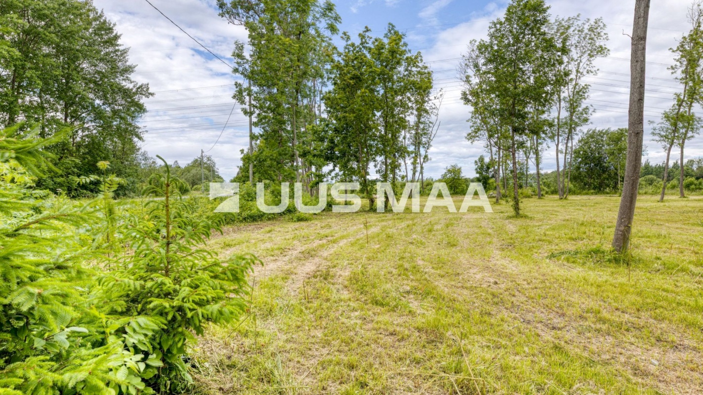 Saue vald, Püha küla, Kurvi tee 53