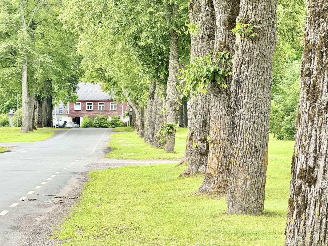 Pärnu linn, Audru alevik, Pärna allee 6