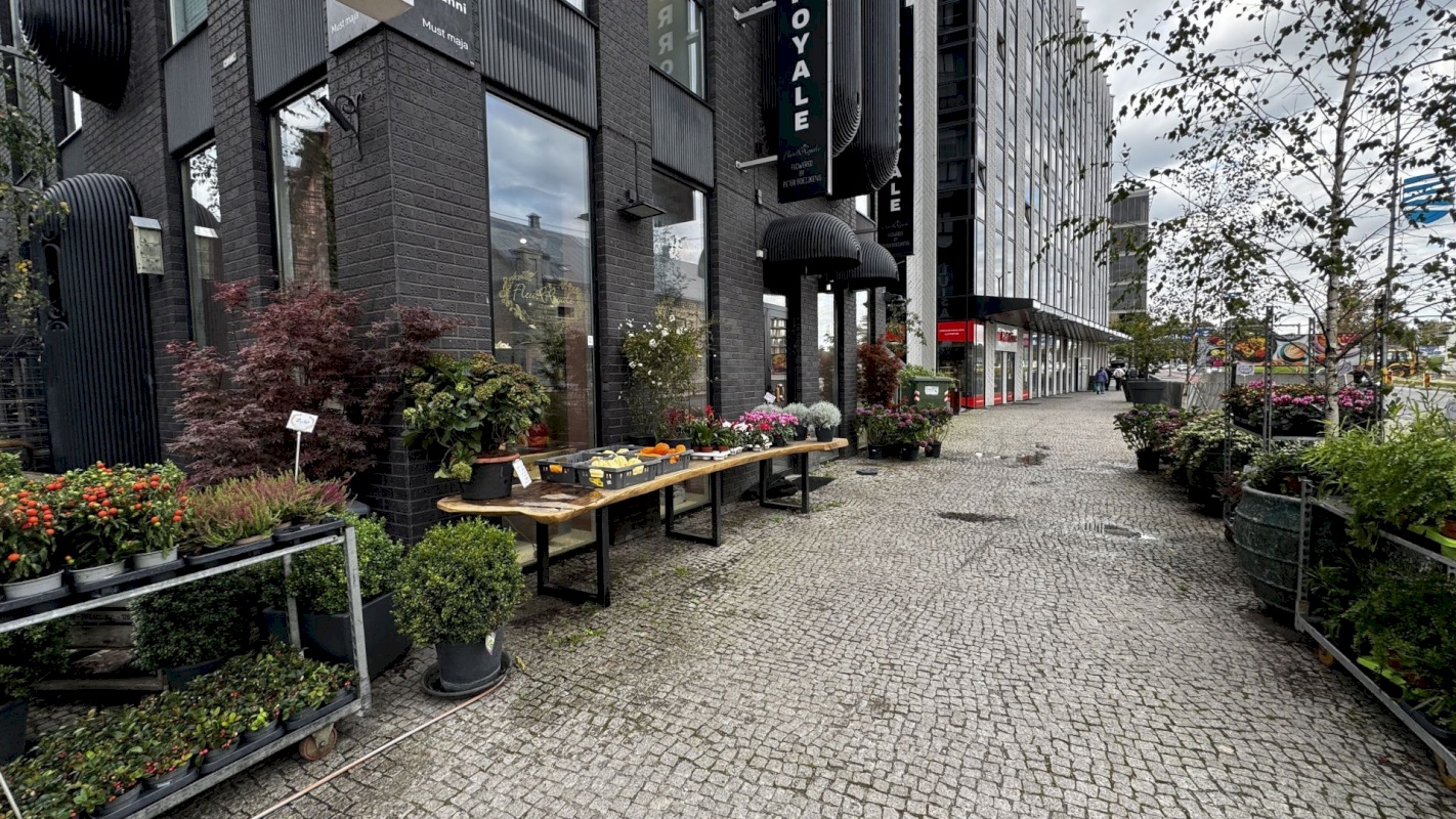 Tallinn, Kesklinna linnaosa, Sadama, Lootsi 3a