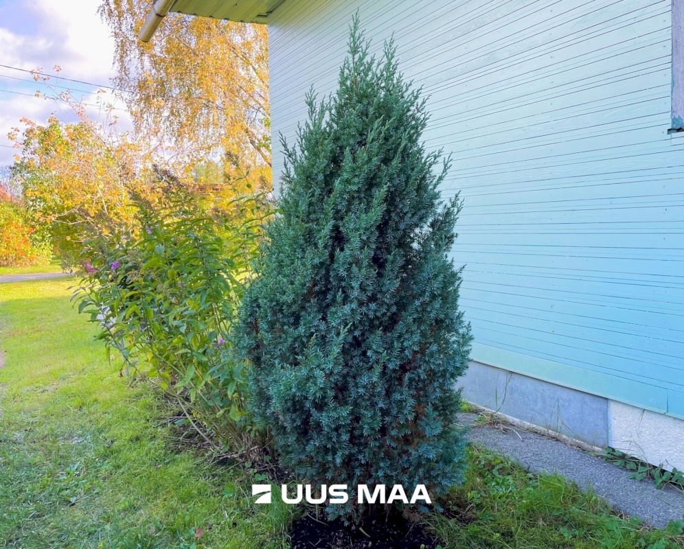 Tallinn, Pirita linnaosa, Mähe, Randvere tee 143