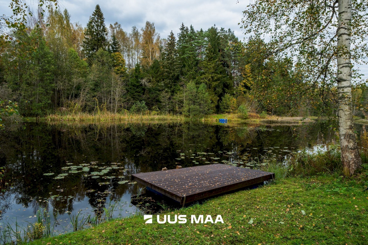 Peipsiääre vald, Alajõe küla, Männi