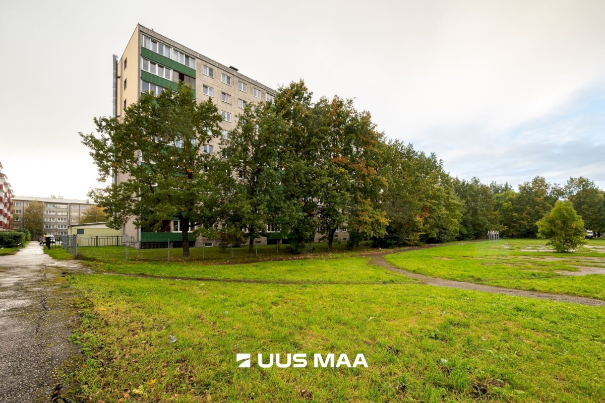 Tallinn, Lasnamäe linnaosa, Pae, Pae tn 56