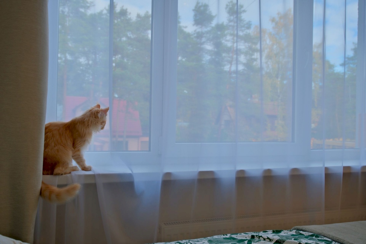 Tallinn, Nõmme linnaosa, Valdeku 118a