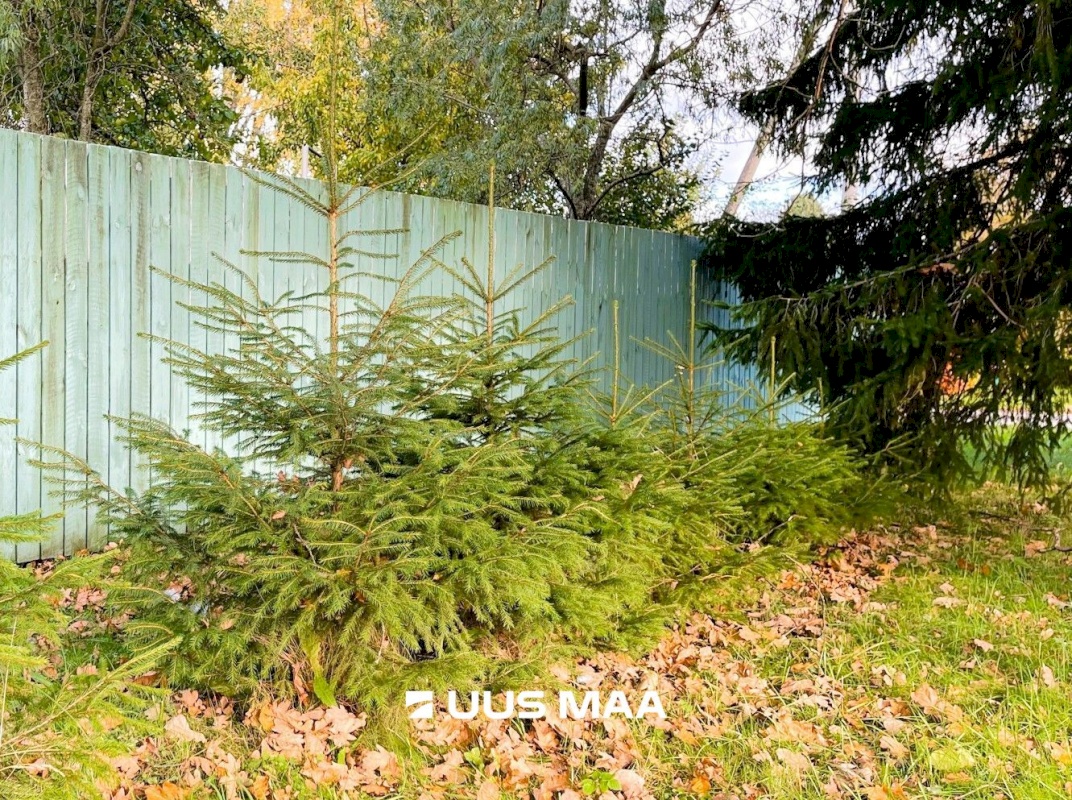 Tallinn, Pirita linnaosa, Mähe, Randvere tee 143