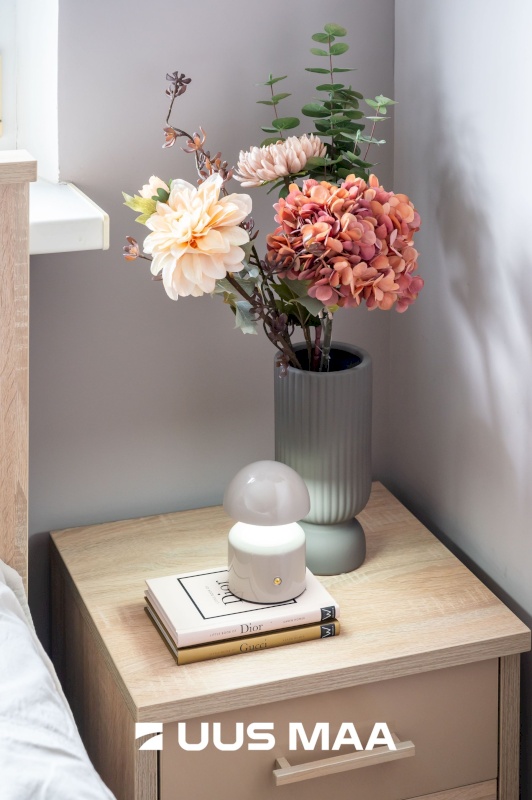 Jõelähtme vald, Loo alevik, Saha tee 2