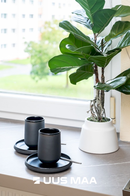 Jõelähtme vald, Loo alevik, Saha tee 2