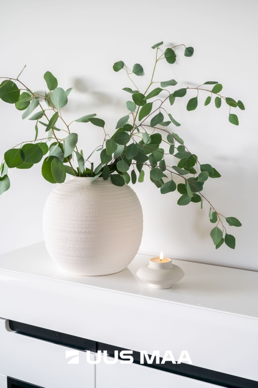 Jõelähtme vald, Loo alevik, Saha tee 2