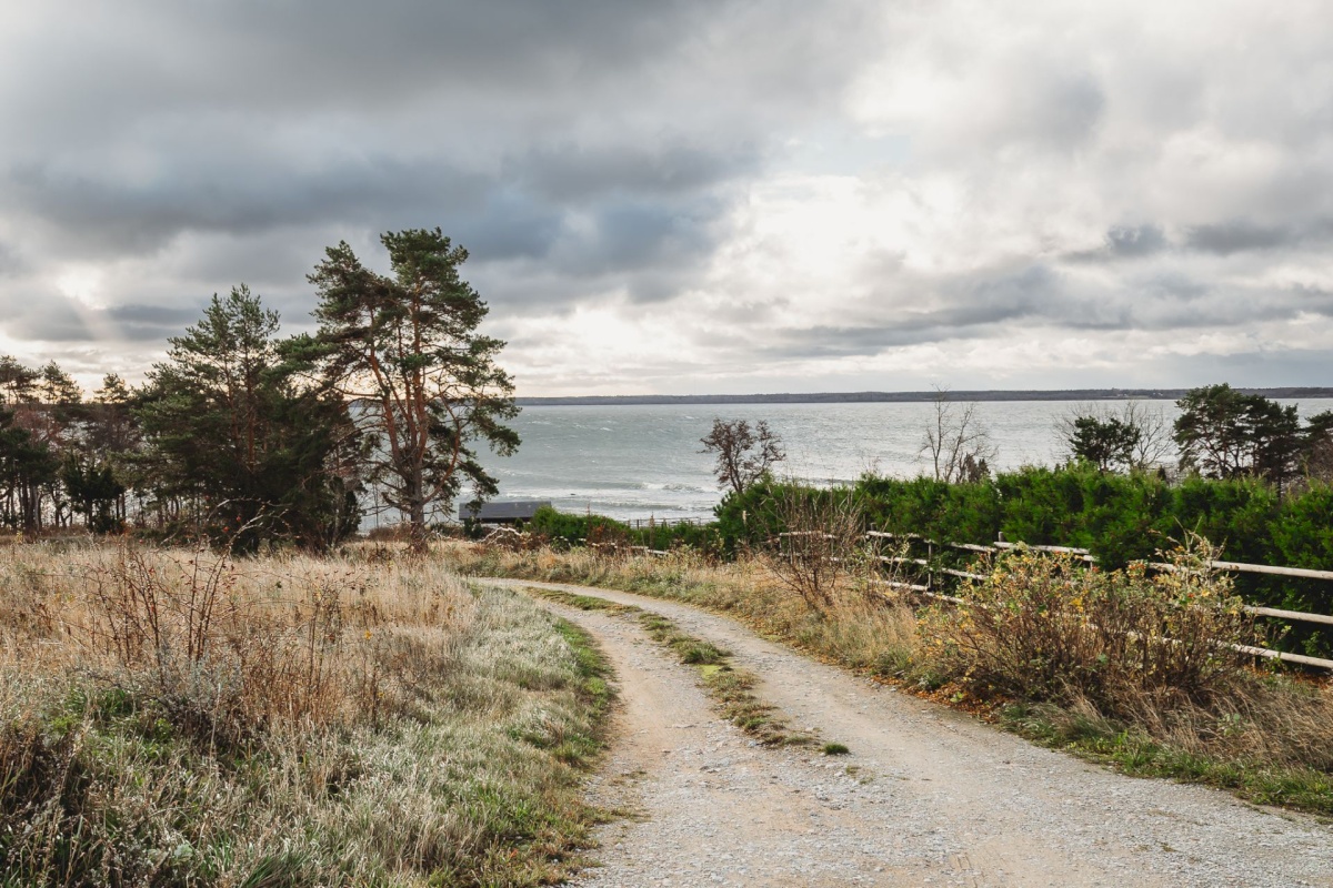 Lääne-Harju vald, Lohusalu küla, Vainu 3