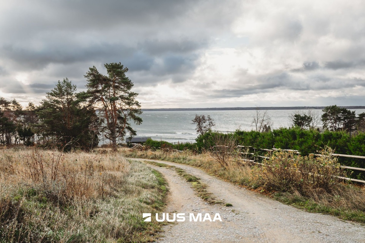 Lääne-Harju vald, Lohusalu küla, Vainu 3