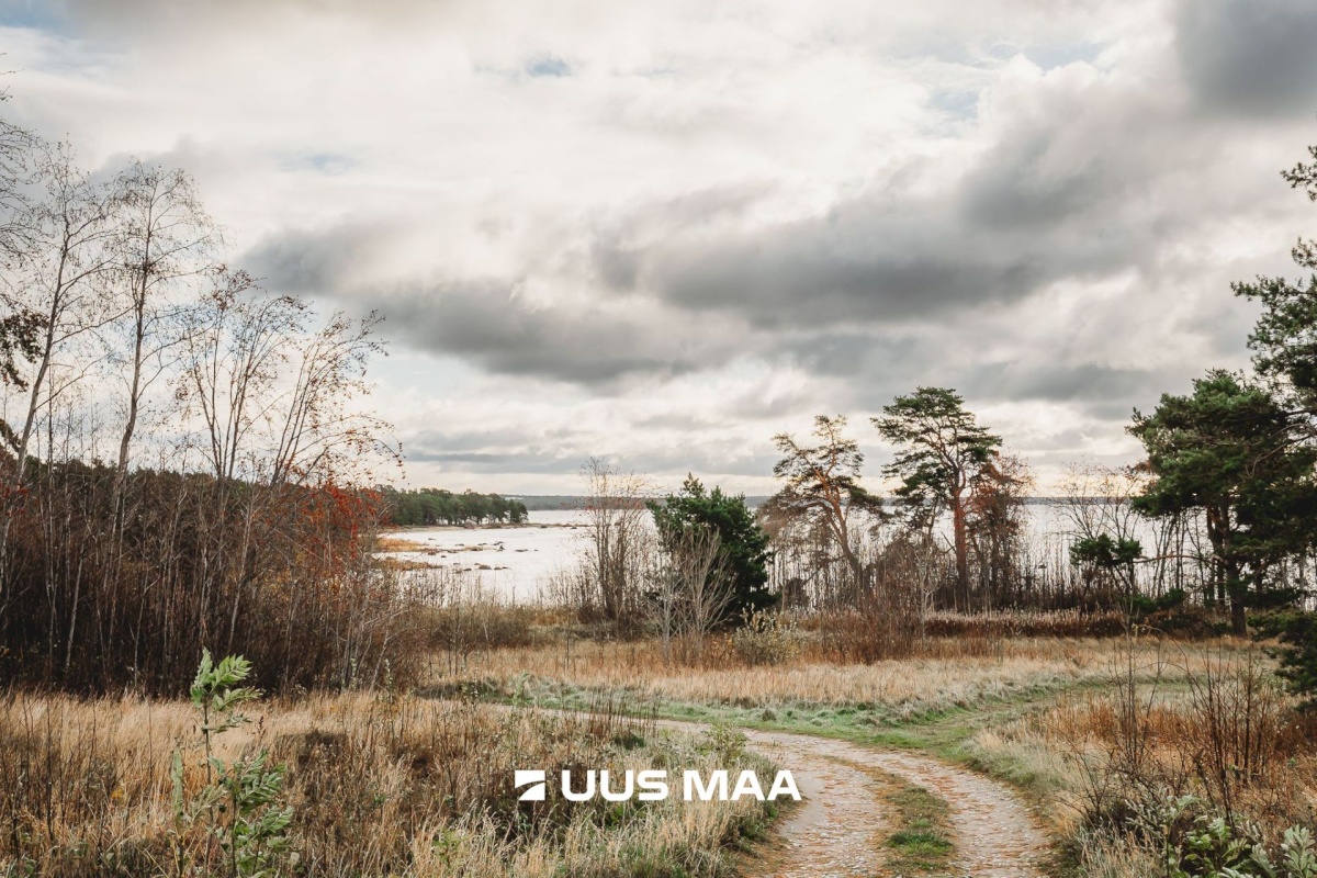 Lääne-Harju vald, Lohusalu küla, Vainu 3