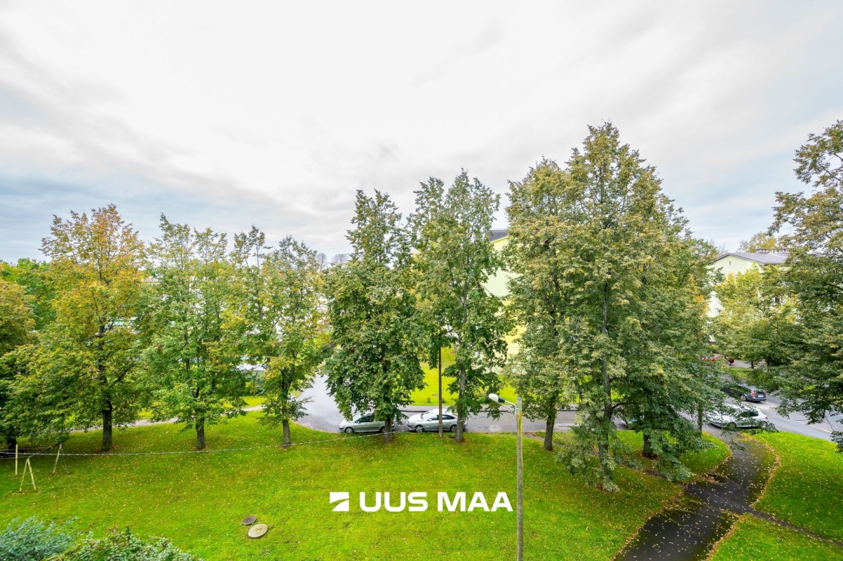 Tallinn, Põhja-Tallinna linnaosa, Madala 11