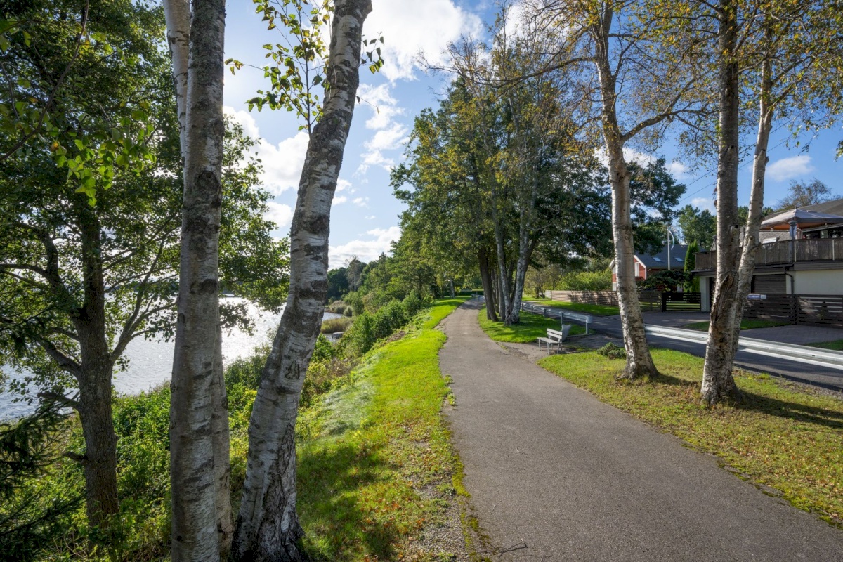 Viimsi vald, Tammneeme küla, Teigari tee 32