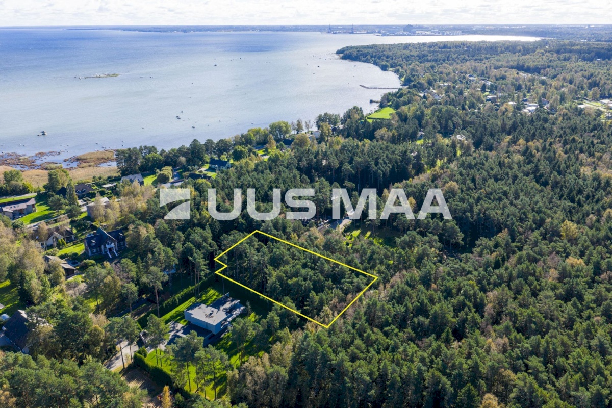 Viimsi vald, Tammneeme küla, Teigari tee 32