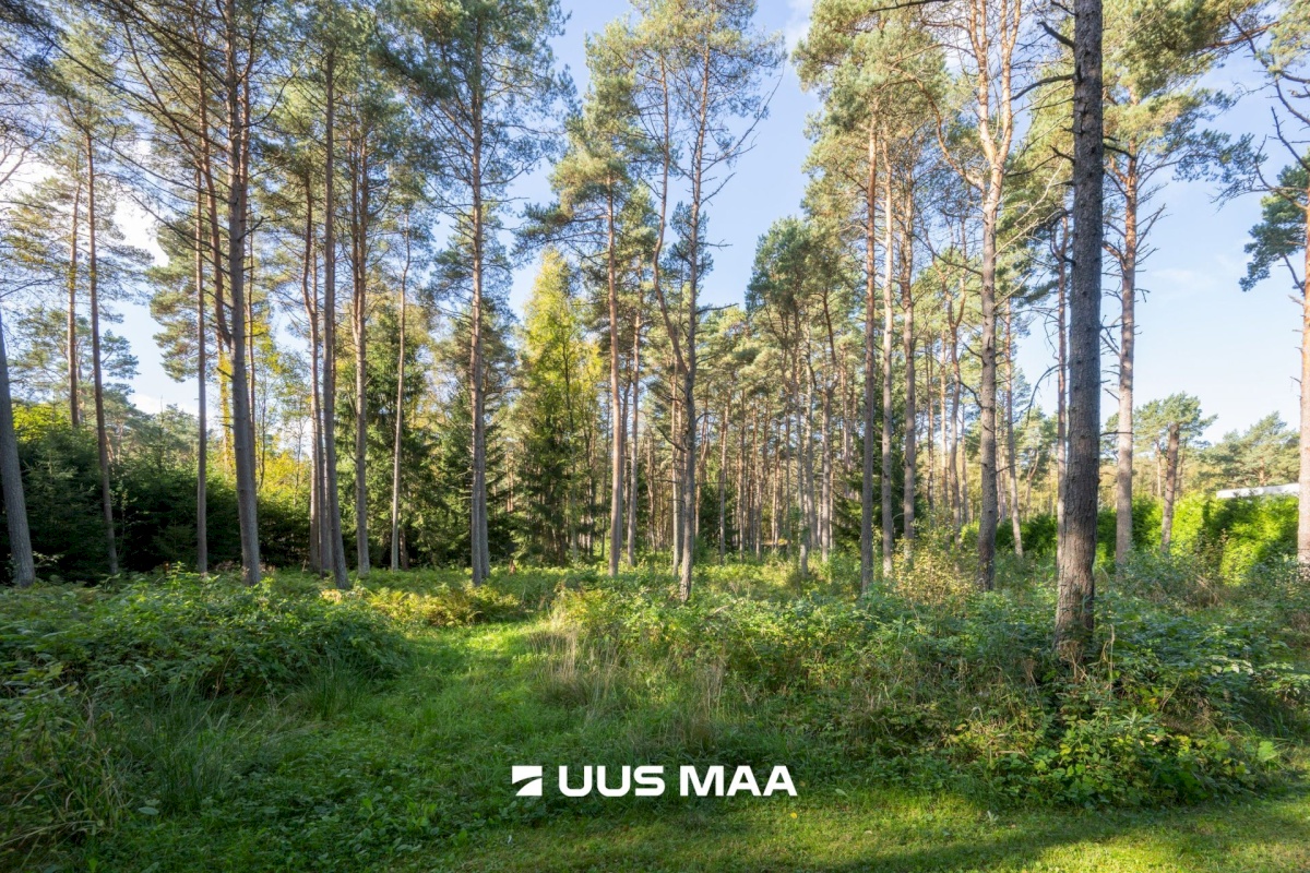 Viimsi vald, Tammneeme küla, Teigari tee 32