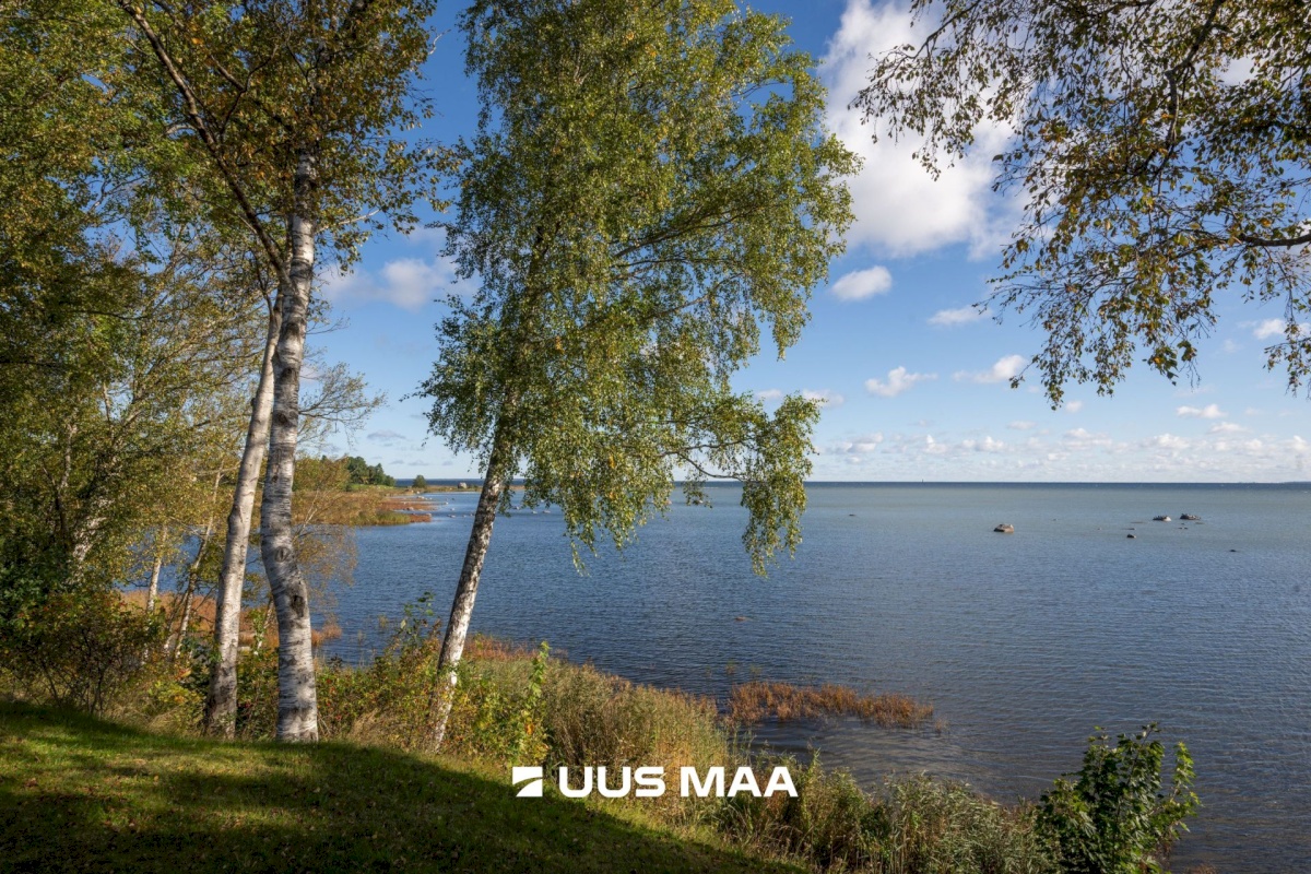 Viimsi vald, Tammneeme küla, Teigari tee 32