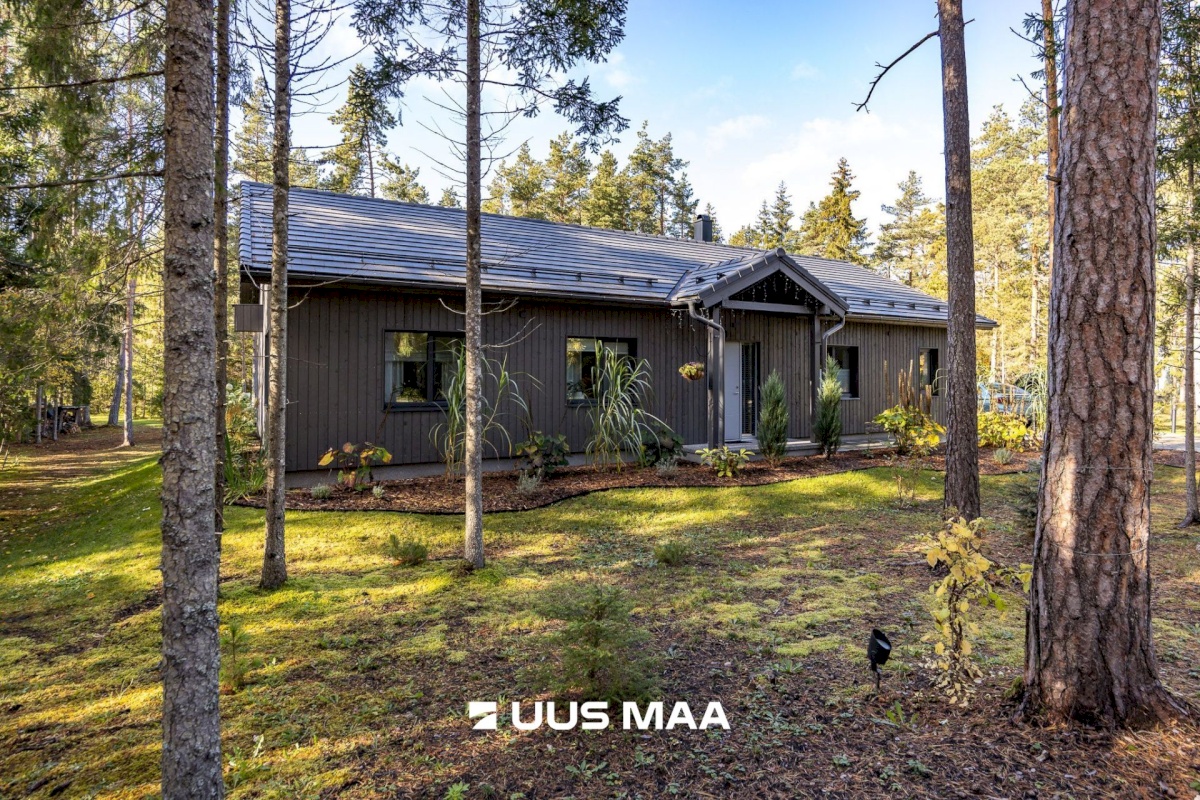 Lääne-Harju vald, Tuulna küla, Metsanurga