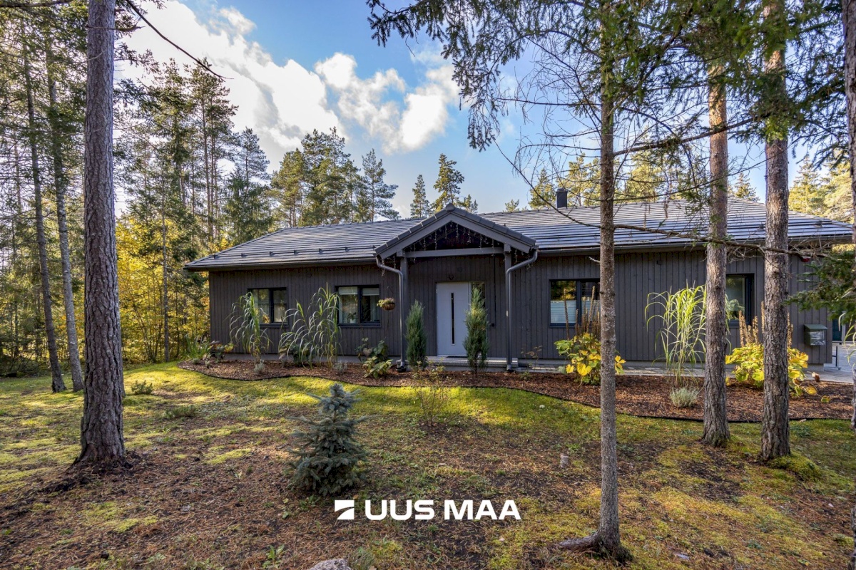 Lääne-Harju vald, Tuulna küla, Metsanurga