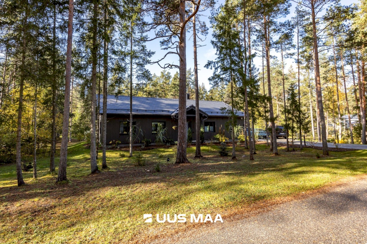 Lääne-Harju vald, Tuulna küla, Metsanurga