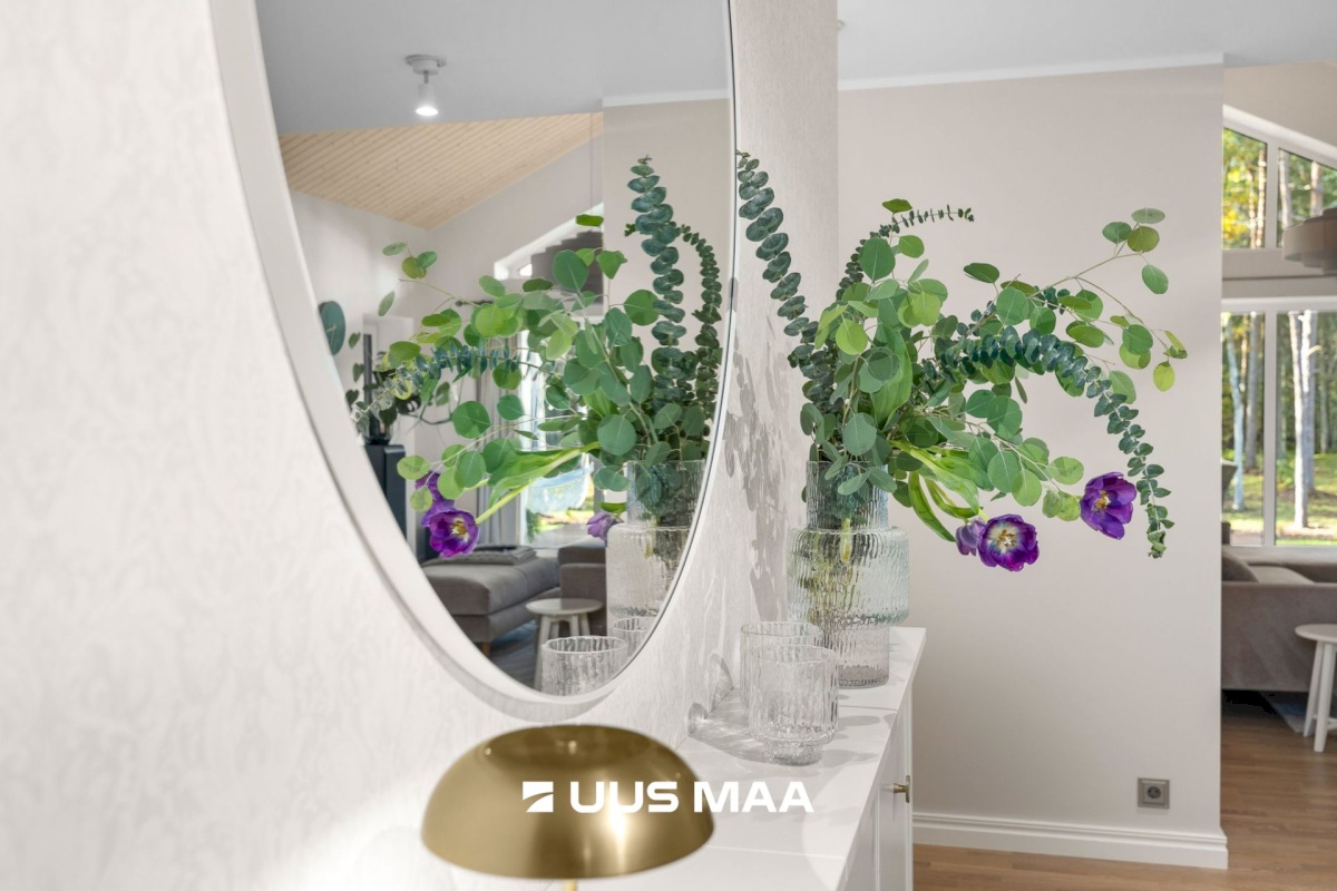 Lääne-Harju vald, Tuulna küla, Metsanurga